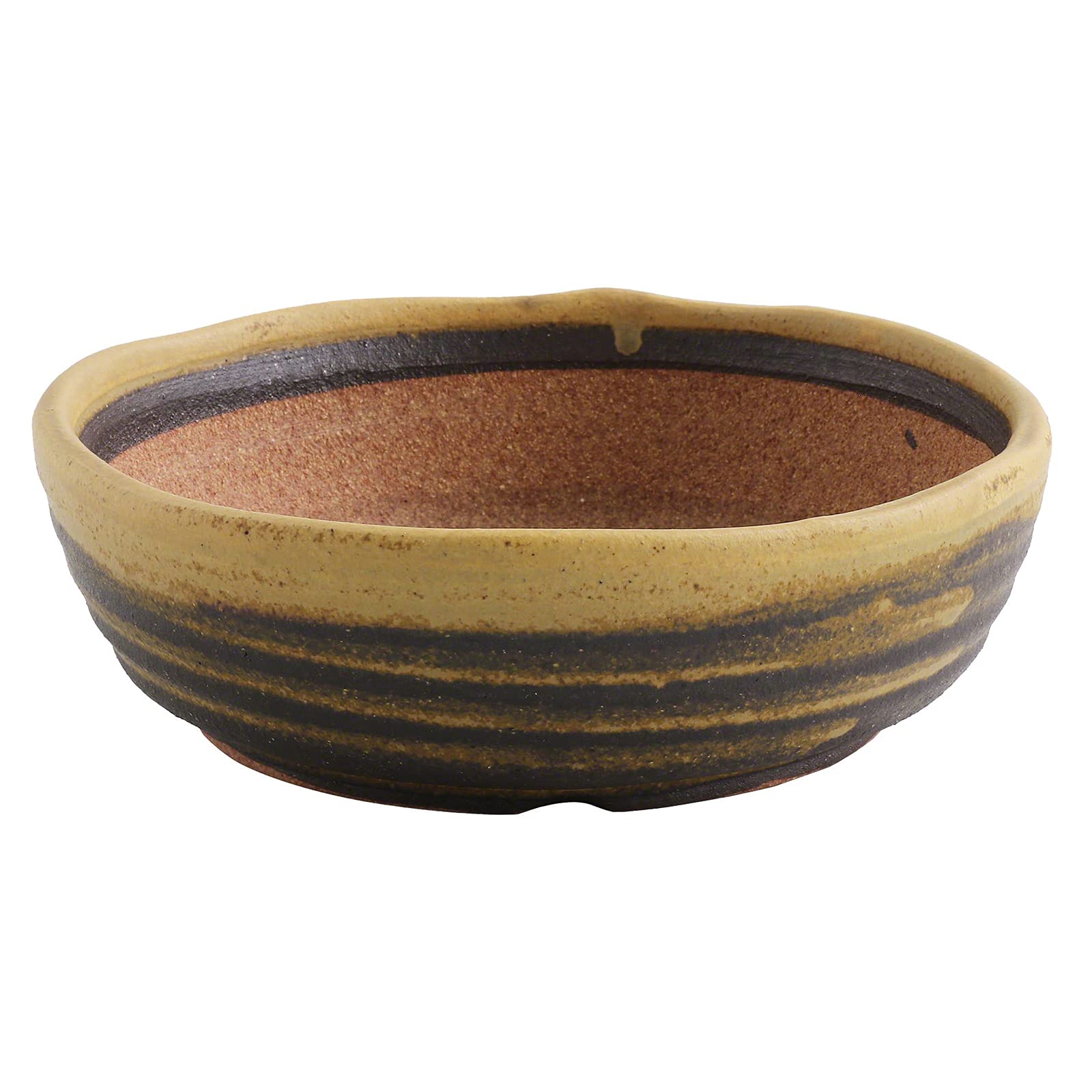 Amazon.com : Wazakura Shigaraki Series Yellow Dust Stripe Glazed